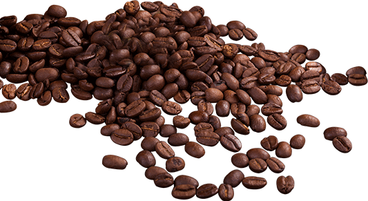 Декоративная иллюстрация подписки на рассылку