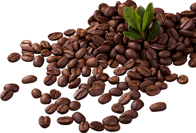 Декоративный фон блока отзывов